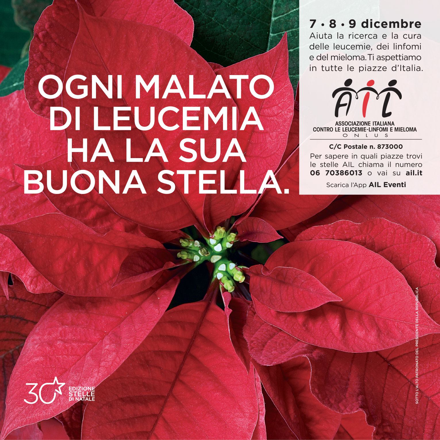 Stella Di Natale Piazze Italiane.7 8 9 Dicembre 2018 Le Stelle Di Natale Ail Compiono 30 Anni Gaeta News 24